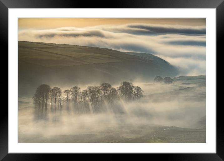 Trees in the Mist, Peak District  Framed Mounted Print by John Finney