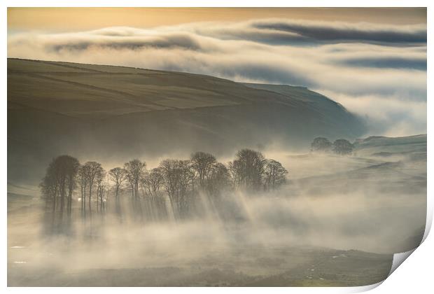 Trees in the Mist, Peak District  Print by John Finney