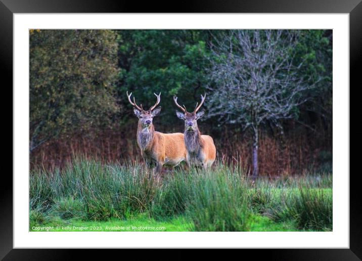who you looking at Framed Mounted Print by kelly Draper