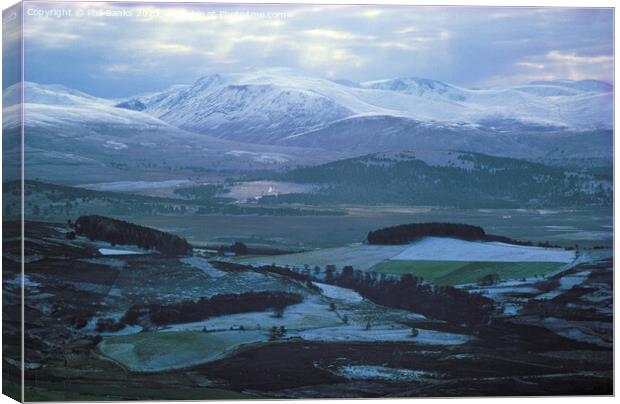 The Cairngorm Mountains from Dorback - Scotland Canvas Print by Phil Banks