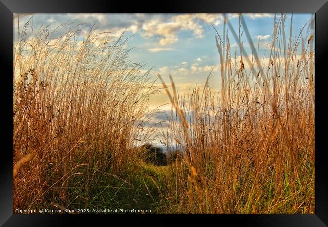 Highdown Hill Magic Framed Print by Kamran Khan