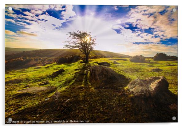 Dazzling Dartmoor Acrylic by Stephen Hamer