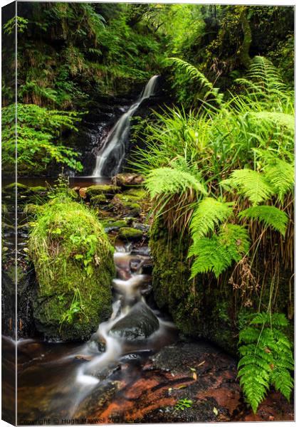 A beautiful waterfall on the Burn Anne Water. Canvas Print by Hugh Maxwell