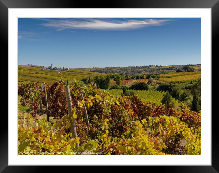 Harvest vineyard 1 Framed Mounted Print by Dudley Wood