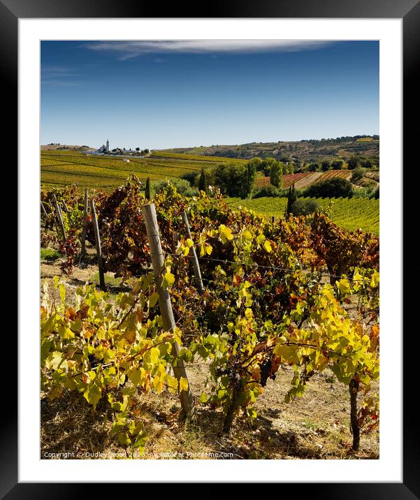 Harvest vineyard 2 Framed Mounted Print by Dudley Wood