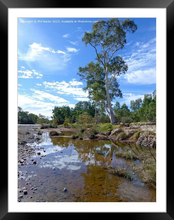 Finke River - Northern Territory, Australia Framed Mounted Print by Phil Banks
