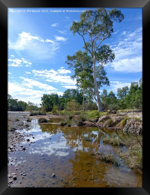 Finke River - Northern Territory, Australia Framed Print by Phil Banks