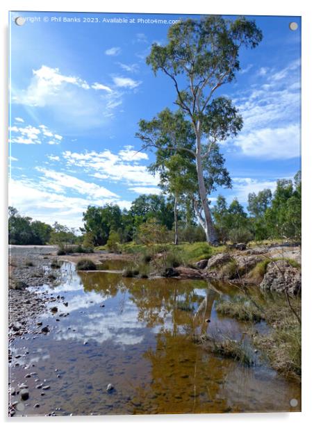 Finke River - Northern Territory, Australia Acrylic by Phil Banks