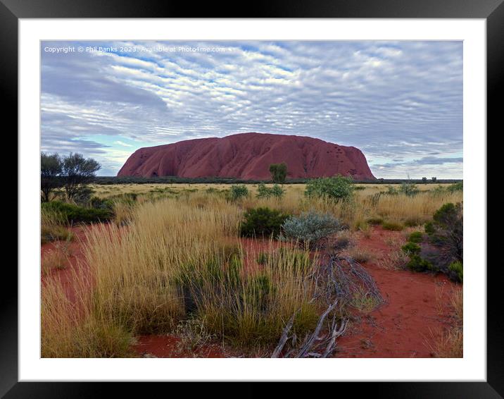 Mackerel Sky over Uluru  Framed Mounted Print by Phil Banks
