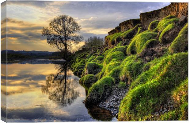 Along The Banks Of The River Lune Canvas Print by Jason Connolly