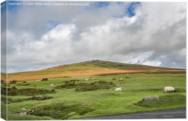 Carpark view of Cox Tor in Dartmoor Canvas Print by Kevin White