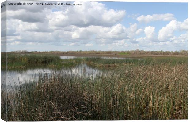 San Joaquin Wildlife Preserve California Canvas Print by Arun 