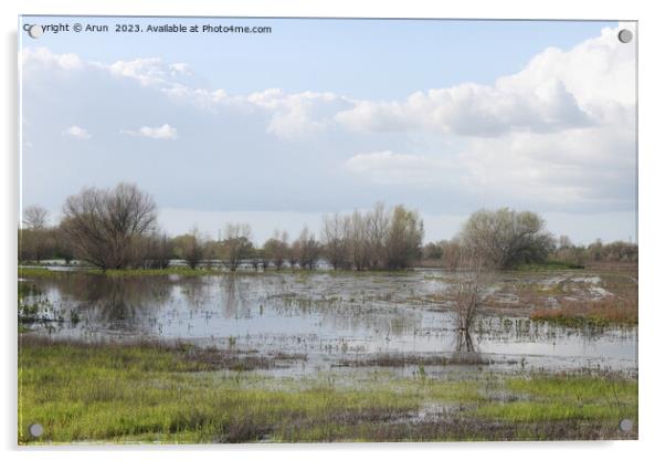 San Joaquin Wildlife Preserve California Acrylic by Arun 