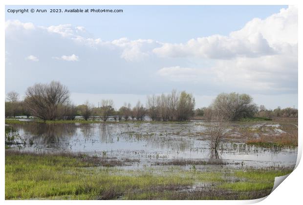 San Joaquin Wildlife Preserve California Print by Arun 