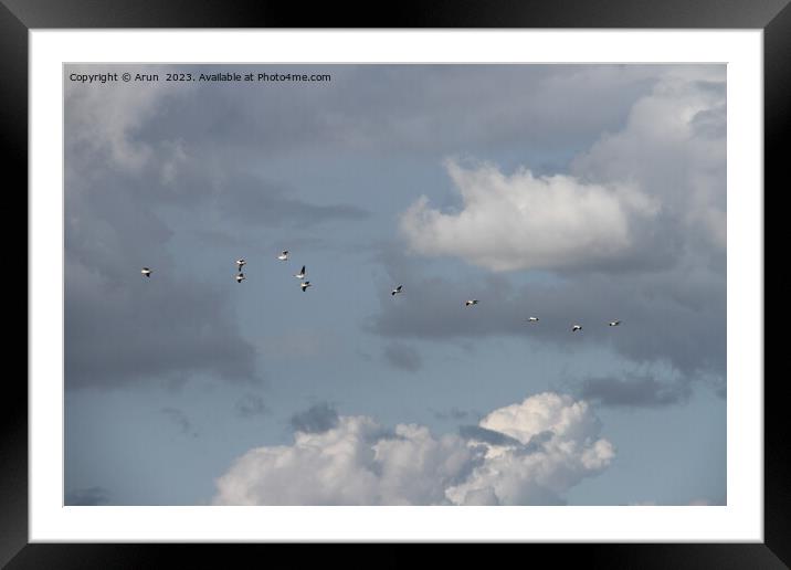 Flying Geese in San Joaquin Wildlife Preserve California Framed Mounted Print by Arun 