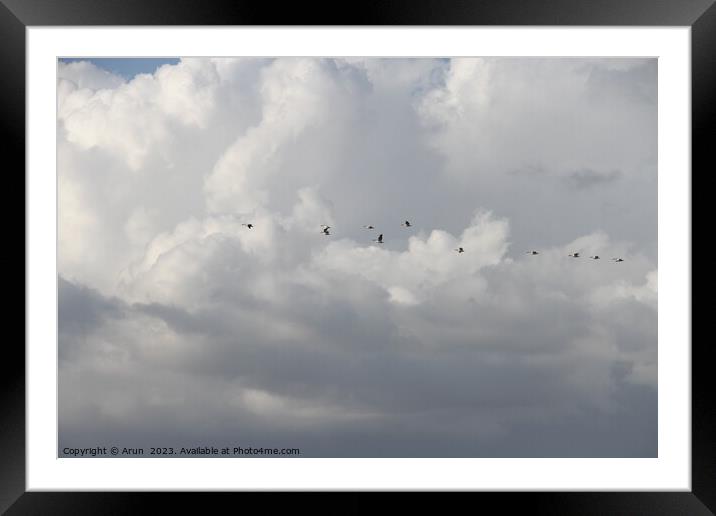 Flying Geese in San Joaquin Wildlife Preserve California Framed Mounted Print by Arun 