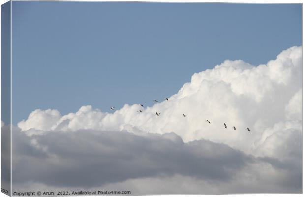 Flying Geese in San Joaquin Wildlife Preserve California Canvas Print by Arun 