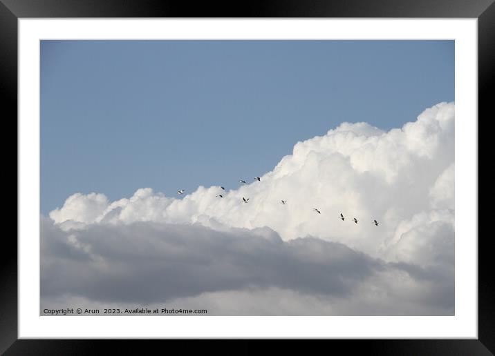 Flying Geese in San Joaquin Wildlife Preserve California Framed Mounted Print by Arun 