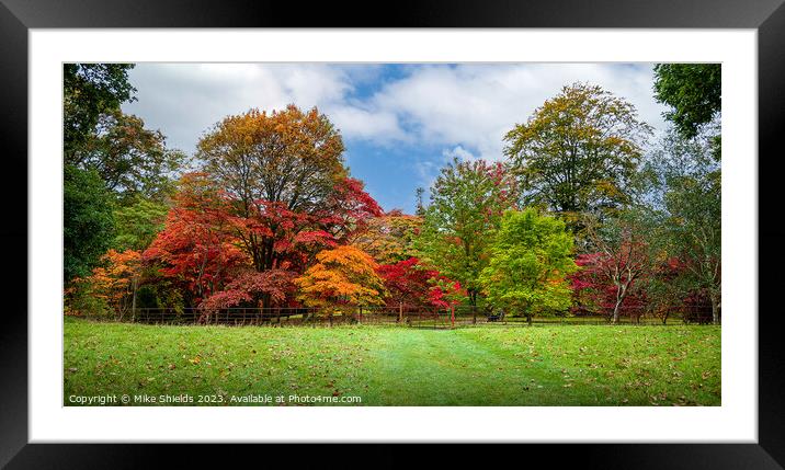 Stunning Autumn Colors Framed Mounted Print by Mike Shields