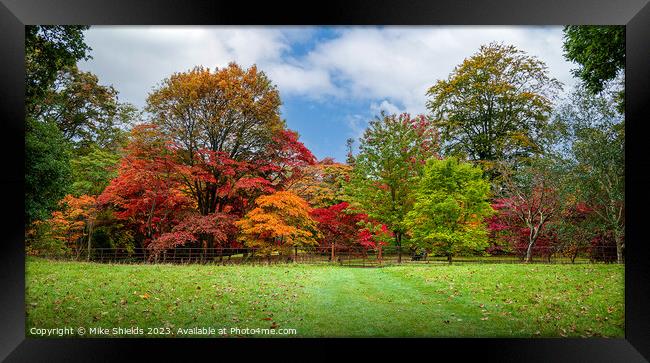 Stunning Autumn Colors Framed Print by Mike Shields