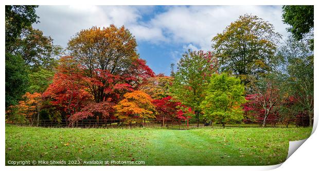 Stunning Autumn Colors Print by Mike Shields