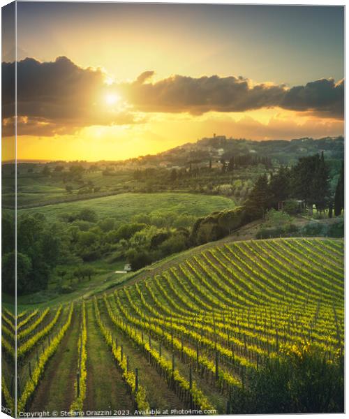 Vineyards at sunset and Casale Marittimo village. Tuscany Canvas Print by Stefano Orazzini