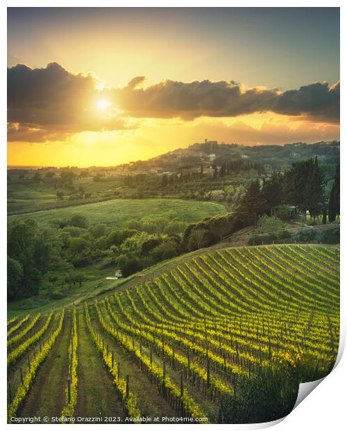 Vineyards at sunset and Casale Marittimo village. Tuscany Print by Stefano Orazzini