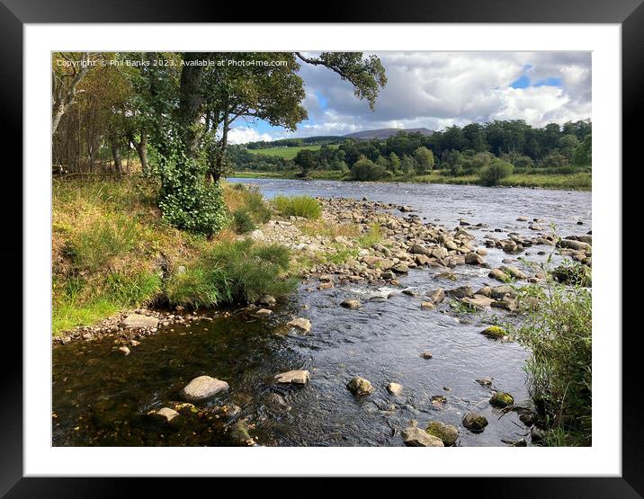 Early Autumn by the River Spey Framed Mounted Print by Phil Banks