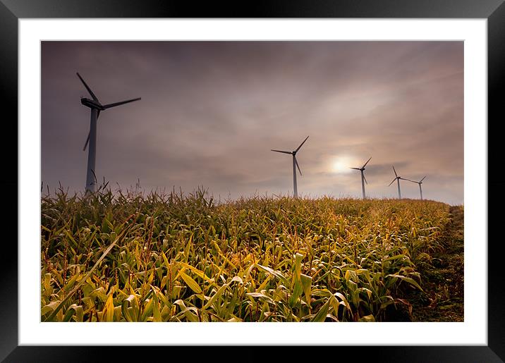 Turbines in a maize field Framed Mounted Print by Stephen Mole