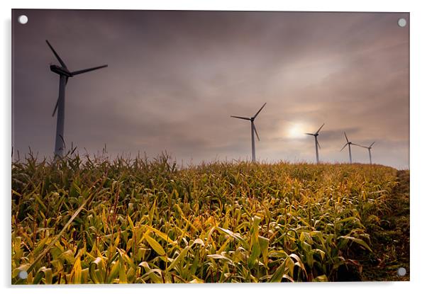 Turbines in a maize field Acrylic by Stephen Mole