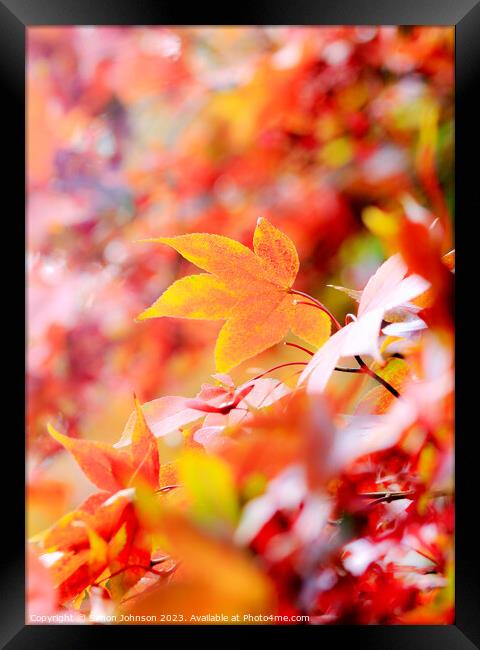 Abstract texture Framed Print by Simon Johnson