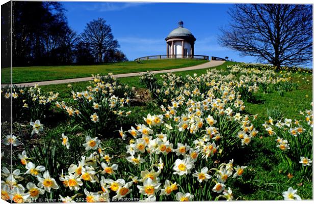 The Folly in Spring Canvas Print by Peter Hatton