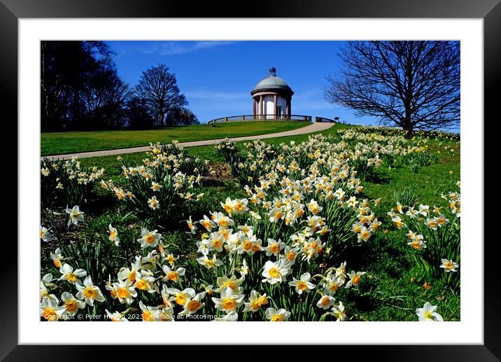 The Folly in Spring Framed Mounted Print by Peter Hatton