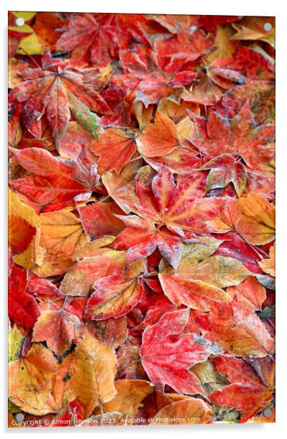  Frosted autumnal; leaves Acrylic by Simon Johnson