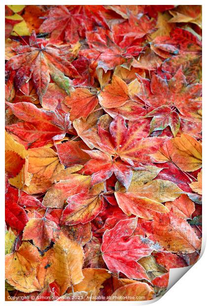  Frosted autumnal; leaves Print by Simon Johnson