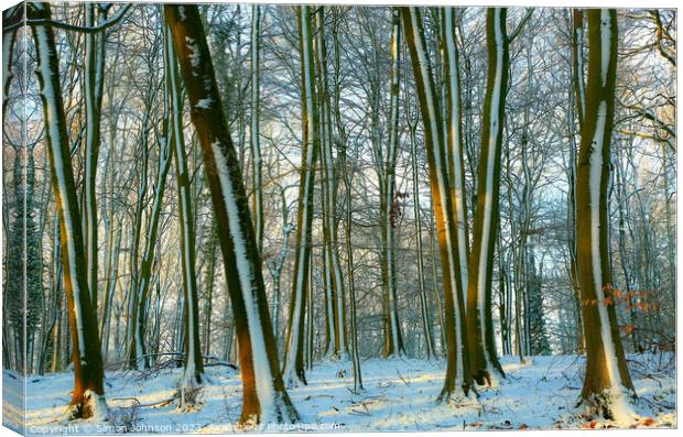  frosted trees Canvas Print by Simon Johnson