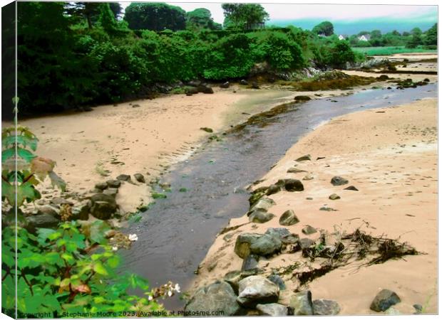 Small stream in Glenalla, Donegal Canvas Print by Stephanie Moore