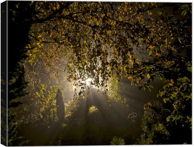 Evening Mist Canvas Print by Iain Mavin