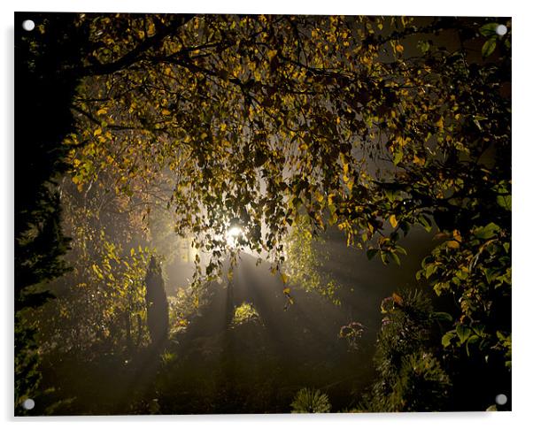 Evening Mist Acrylic by Iain Mavin