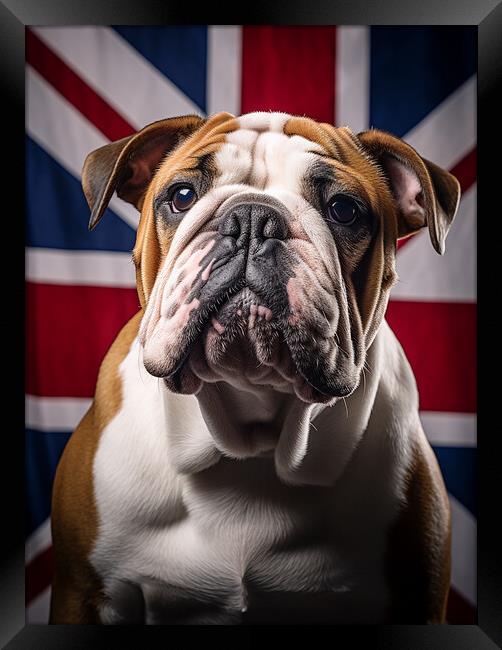 British Bulldog Portrait Framed Print by Steve Smith