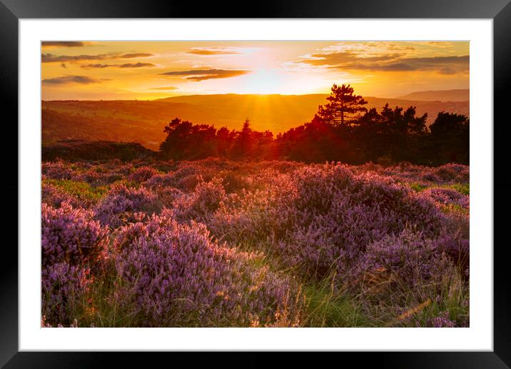 Ilkley Moor Sunset Framed Mounted Print by Alison Chambers