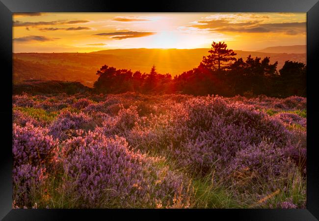 Ilkley Moor Sunset Framed Print by Alison Chambers
