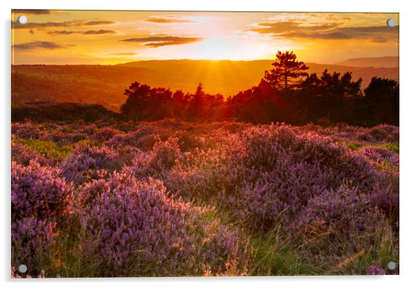 Ilkley Moor Sunset Acrylic by Alison Chambers