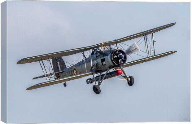 Fairey Swordfish Torpedo Bomber Canvas Print by J Biggadike