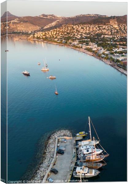 Bodrum From The Air  Canvas Print by David Pyatt