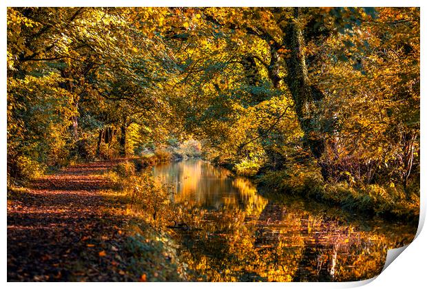 Monmoutshire and Brecon canal Print by Sandra Kepkowska