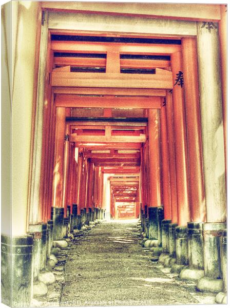 Torii Gate Tunnel Canvas Print by Chris Frost