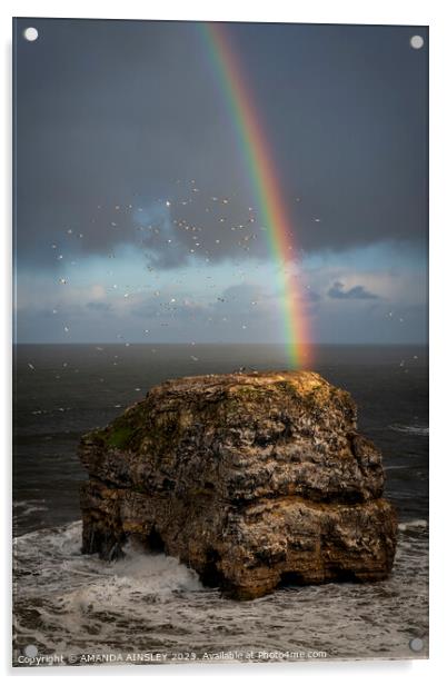 Rainbow at Marsden Rock Acrylic by AMANDA AINSLEY