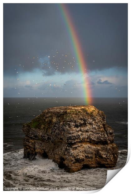 Rainbow at Marsden Rock Print by AMANDA AINSLEY