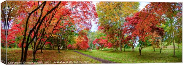 A Path through Autumn Canvas Print by Mike Shields